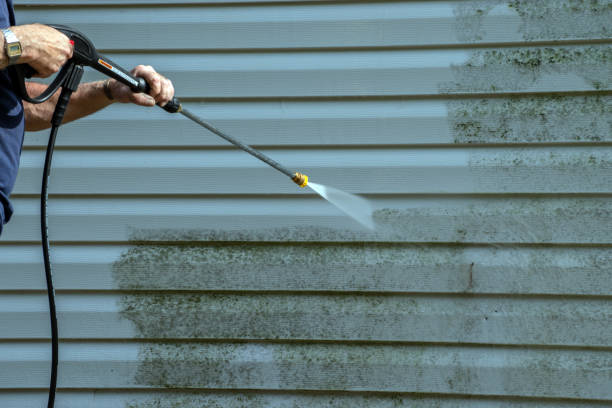 Best Sidewalk and Walkway Pressure Cleaning in Brookland, AR