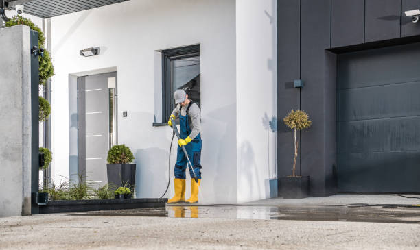 Best Gutter Cleaning and Brightening in Brookland, AR